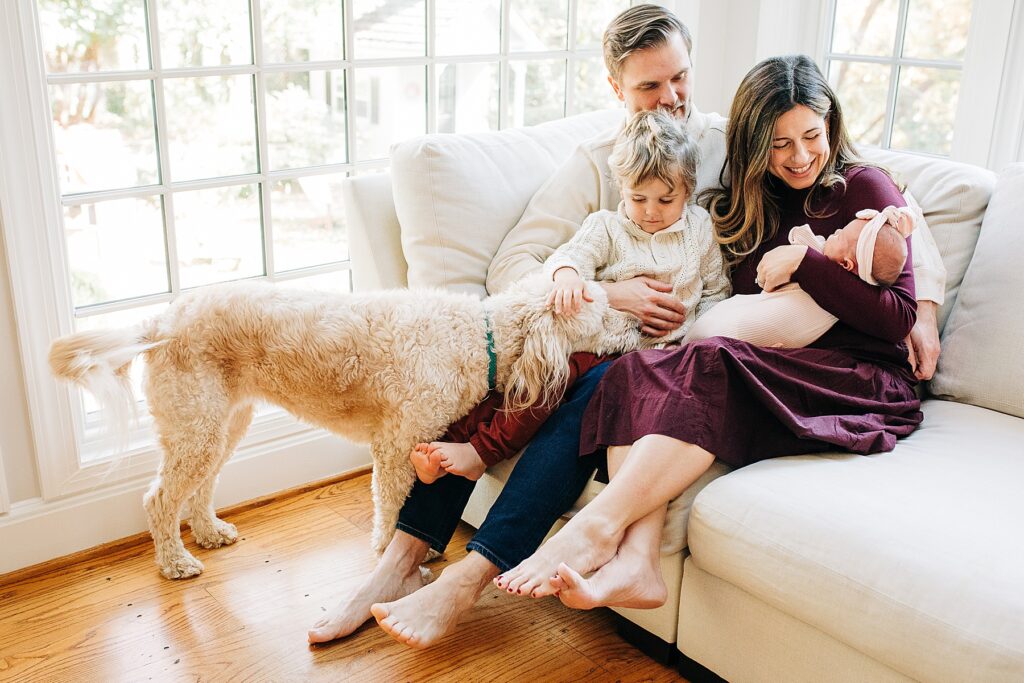 Raleigh newborn photography